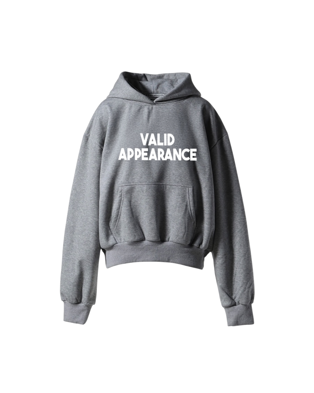 Valid Appearance hoodie